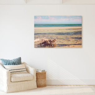 Driftwood at Bahia Honda Beach Canvas Print