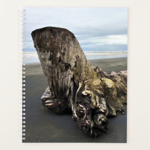 Driftwood at Benson Beach, Cape Disappointment, WA Planner