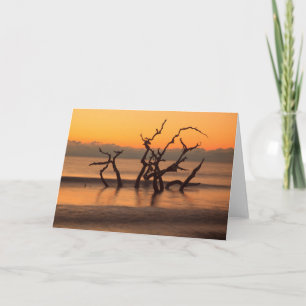 Driftwood Beach at Sunrise Jekyll Island Georgia Card