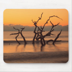 Driftwood Beach at Sunrise Jekyll Island Georgia Mouse Mat