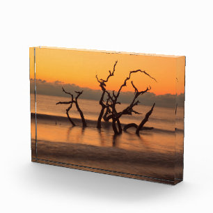 Driftwood Beach at Sunrise Jekyll Island Georgia Photo Block