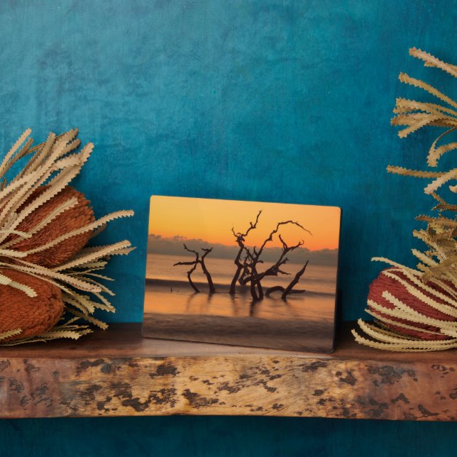 Driftwood Beach at Sunrise Jekyll Island Georgia Plaque (Side)