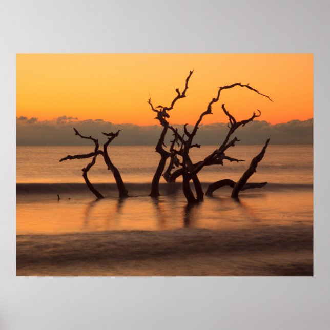 Driftwood Beach at Sunrise Jekyll Island Georgia Poster (Front)