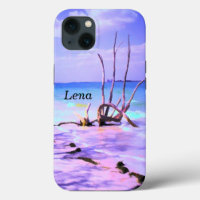 Driftwood Beach Painted Scenic