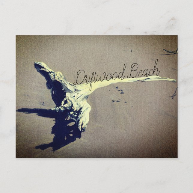 Driftwood Beach Postcard (Front)