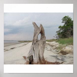 driftwood beach Print