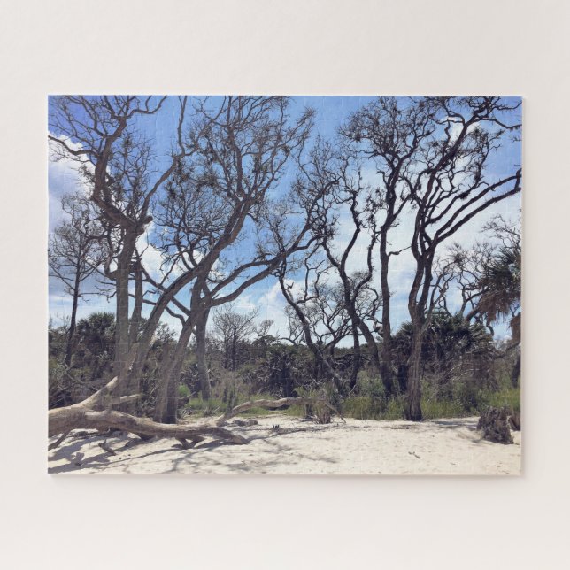 Driftwood Beach Puzzle (Horizontal)