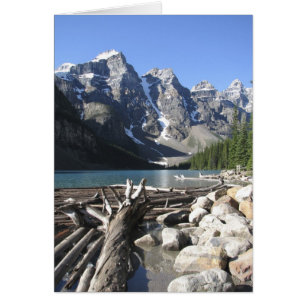 Driftwood, Blank Greeting Card