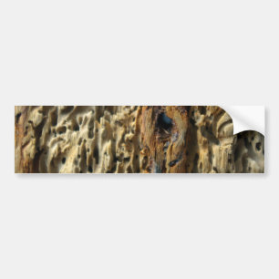 Driftwood Bumper Sticker