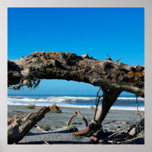 Driftwood Coast Beach Nature Photo Poster