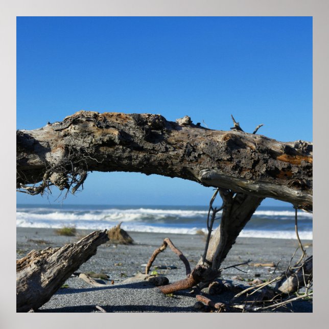 Driftwood Coast Beach Nature Photo Poster (Front)
