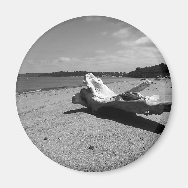 Driftwood Discovery Park Magnet (Front)