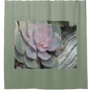 Driftwood Echeveria Shower Curtain