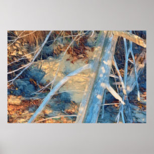Driftwood in Dappled Sunlight: Poster