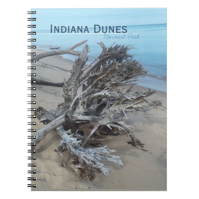 Driftwood Indiana Dunes National Park  Magnet Post Notebook (Front)