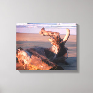 Driftwood Log Costa Rica Beach Photo Canvas Print