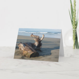 Driftwood Log Costa Rica Beach Photo Greeting Card