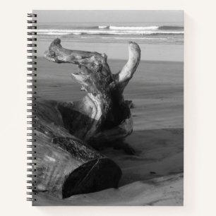 Driftwood Log Costa Rica Beach Photo Notebook