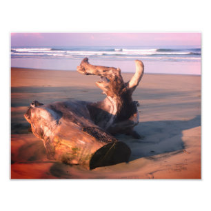 Driftwood Log Costa Rica Beach Photo Print