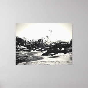 Driftwood on a Desolate Beach Canvas Print