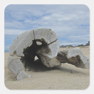 Driftwood on Calfornia Beach Pacific Coast Ocean Square Sticker