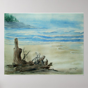 Driftwood on the Beach Watercolor Poster