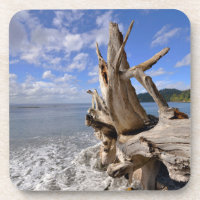Driftwood On The Shoreline Of French Beach