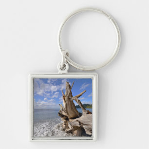 Driftwood On The Shoreline Of French Beach Key Ring