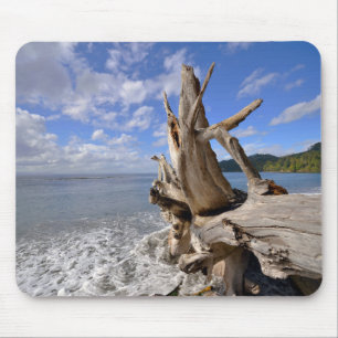 Driftwood On The Shoreline Of French Beach Mouse Mat