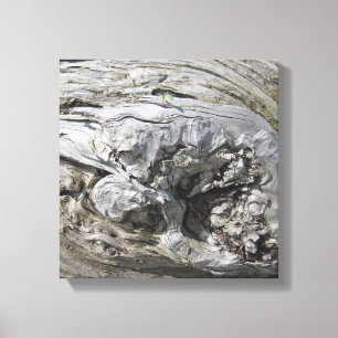 Driftwood Photo Stretched Canvas Print