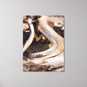 Driftwood - Pictured Rocks National Lakeshore Canvas Print