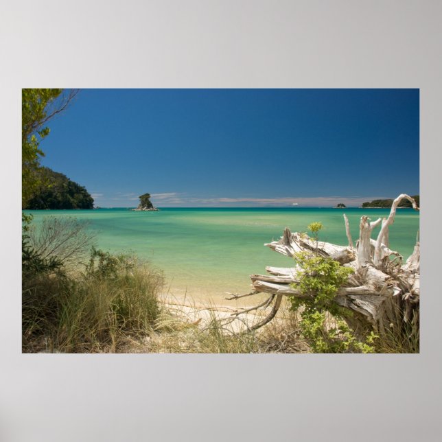 Driftwood Poster (Front)