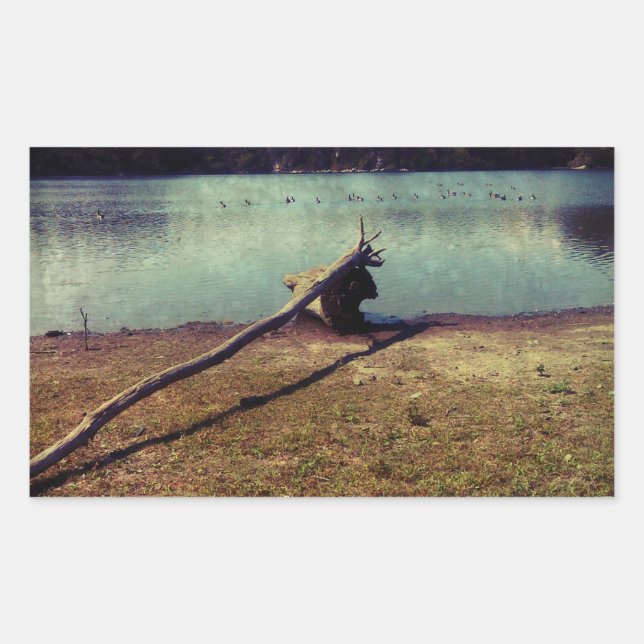 Driftwood Rectangular Sticker (Front)