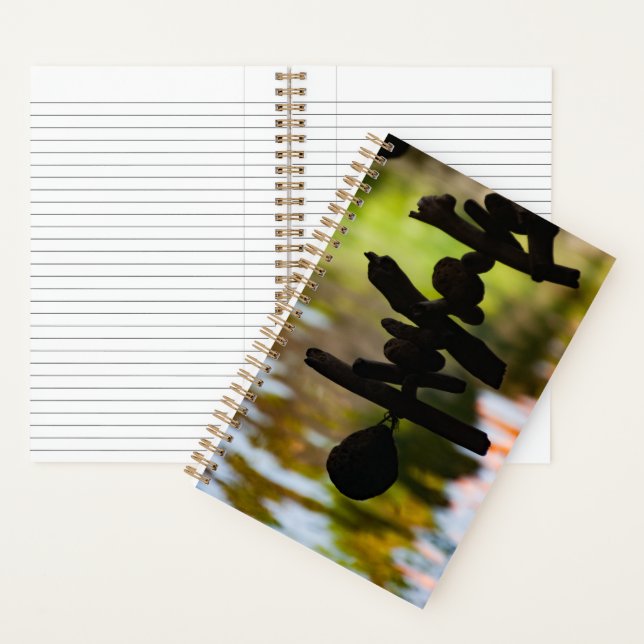 Driftwood Serenity Reflection Notebook (Inside)