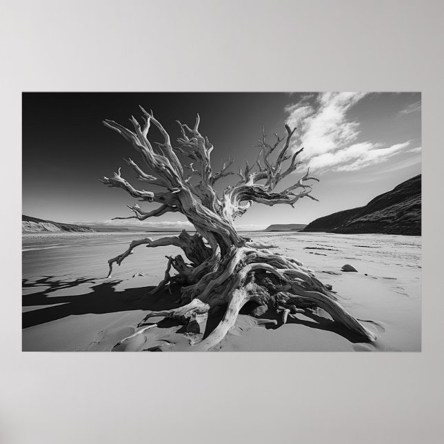 Driftwood tree trunk B&W photo Poster (Front)