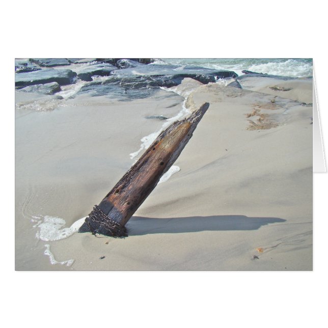 Driftwood Unchained (Front Horizontal)