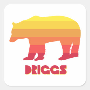 Driggs Idaho Rainbow Bear Square Sticker