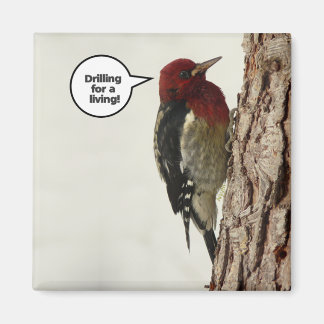 Drilling for a Living magnet