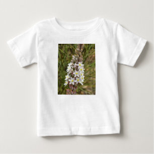 Drimia Maritima Or Island Onion Art Baby T-Shirt