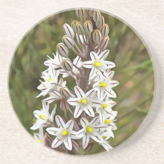Drimia Maritima Or Island Onion Art Coaster