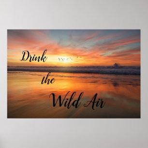 Drink the Wild Air Poster