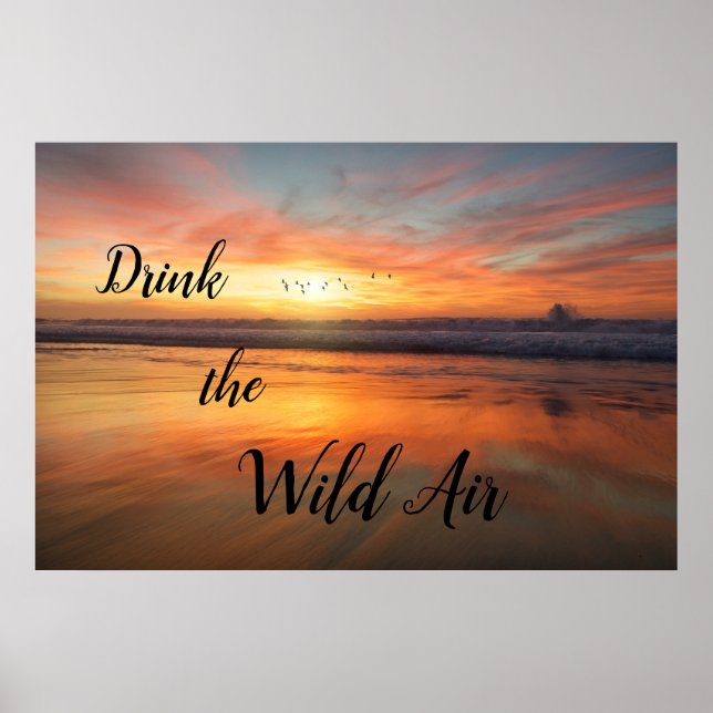 Drink the Wild Air Poster (Front)