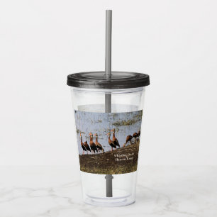 Drink Ware Acrylic Glasses with Whistling Ducks