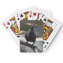 Drinking bird playing cards standard index