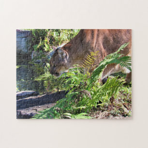 Drinking Cougar  - Florida Panther Puzzle