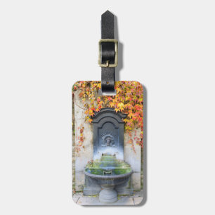 Drinking fountain in fall, Hungary Luggage Tag