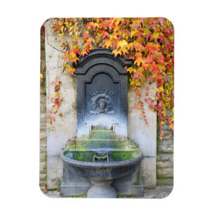 Drinking fountain in fall, Hungary Magnet