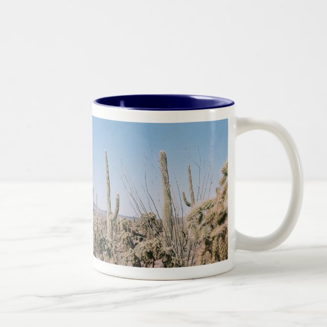 Drinking Mug Arizona Sonoran Desert Panoramic Pic (Right)