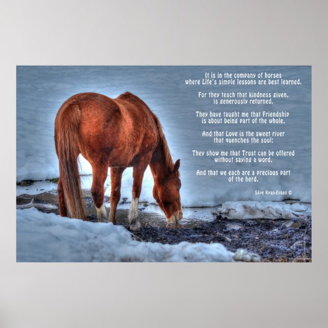 Drinking Red Dun Ranch Horse & Equine Poem Poster (Front)
