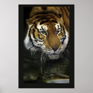 Drinking Tiger Poster